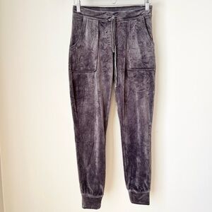 House of Harlow 1960 Velour Joggers
